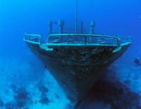 Wreck of the Sea Star Grand Bahamas
